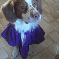 La mascotte de Boulay Olympique Rugby