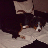 Photo #244810 de Maeka