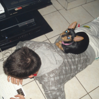 Photo #244822 de Lola