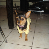 Photo #244823 de Lola