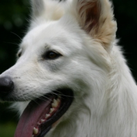 Photo #244824 de Alaska