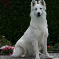 Photo #244825 de Alaska