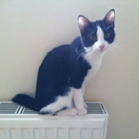 Photo #244845 de Cyane