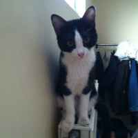 Photo #244849 de Cyane