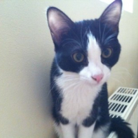 Photo #244850 de Cyane