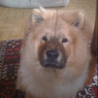 Photo #244943 de Skaya