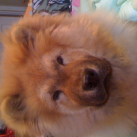 Photo #244946 de Skaya