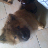 Photo #244947 de Skaya