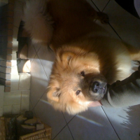 Photo #244948 de Skaya