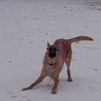 Photo #244958 de Fleo