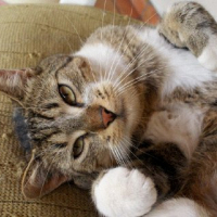 Photo #244975 de Filou