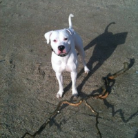Photo #244997 de Snow