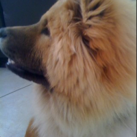 Photo #245003 de Skaya