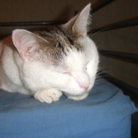 Photo #245014 de Mina