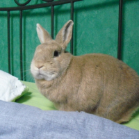 Photo #245037 de Leon