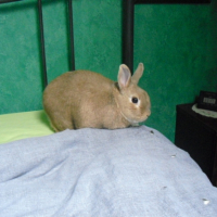 Photo #245040 de Leon