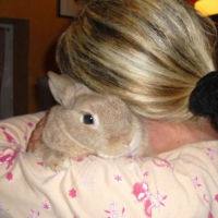 Photo #245041 de Leon