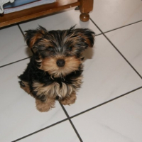Photo #245127 de Freezby