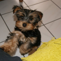 Photo #245129 de Freezby