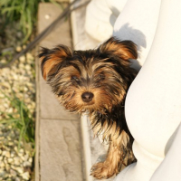 Photo #245132 de Freezby