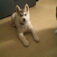 Photo #245157 de Maya