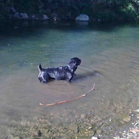 Photo #245165 de Bernie