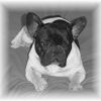 Photo #245183 de Mikado