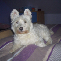 Photo #245264 de Channel
