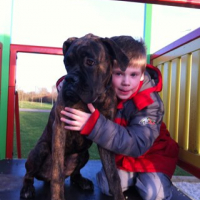 Photo #245281 de Flach