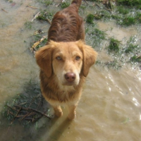 Photo #245308 de Attika