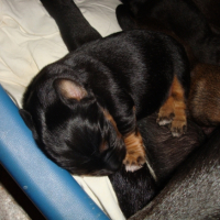 Photo #245318 de Tina