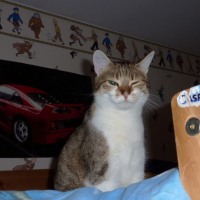 Photo #245407 de Cacahuehete 
