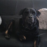Photo #245583 de Mandie