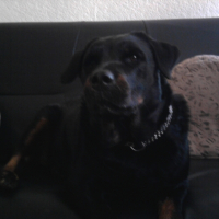Photo #245584 de Mandie