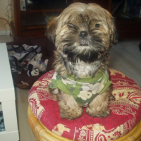 Photo #245590 de Endy