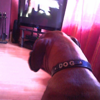 Photo #245592 de Dana