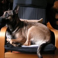 Photo #245836 de Dune 