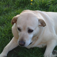 Photo #245868 de Tessa