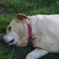 Photo #245869 de Tessa