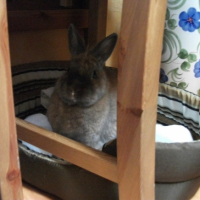 Photo #245896 de Caramel