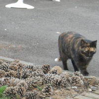 Photo #245897 de Mickette