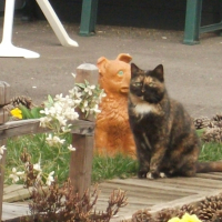 Photo #245898 de Mickette