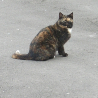 Photo #245901 de Mickette