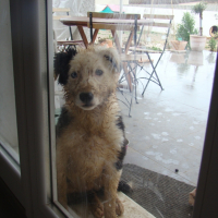Photo #245928 de Misa