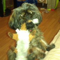 Photo #245942 de Finley