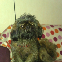 Photo #245943 de Finley