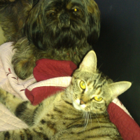 Photo #245944 de Finley