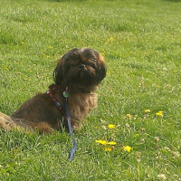 Photo #245945 de Finley