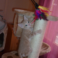 Photo #246050 de Grunch