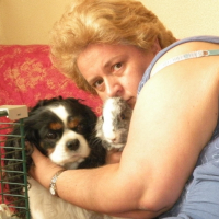 Photo #246096 de Panpan